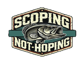 Full Color Patches